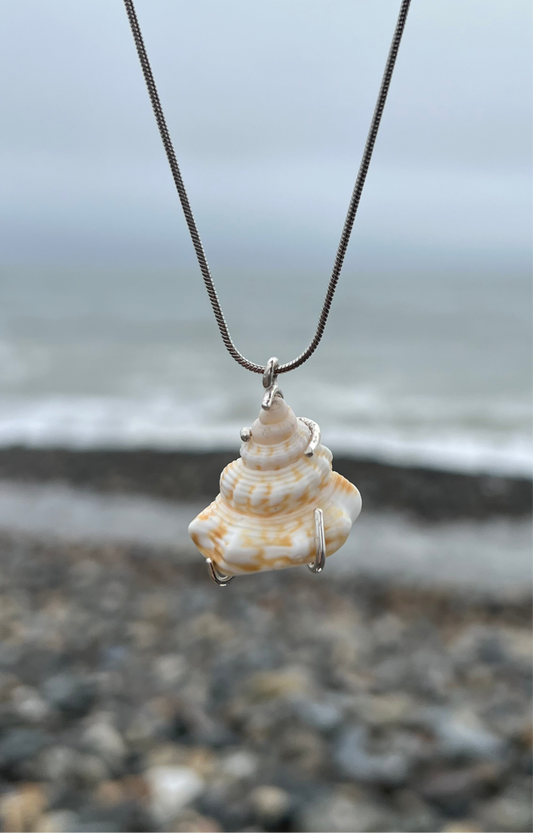 Shell Pendant