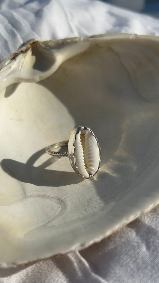 Cowrie Shell Ring
