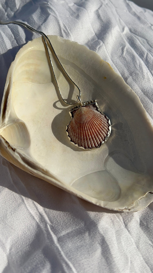 Bold Sea Shell Necklace