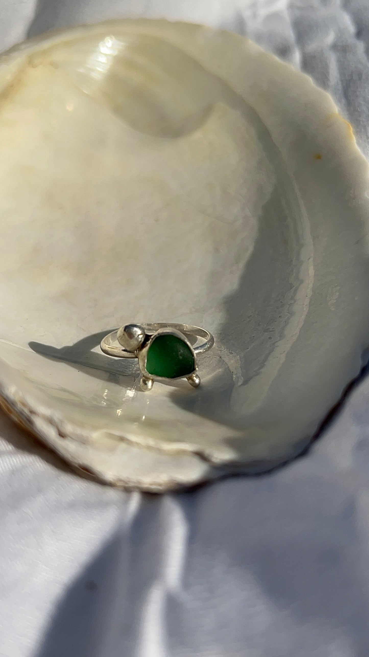 Turtle Ring