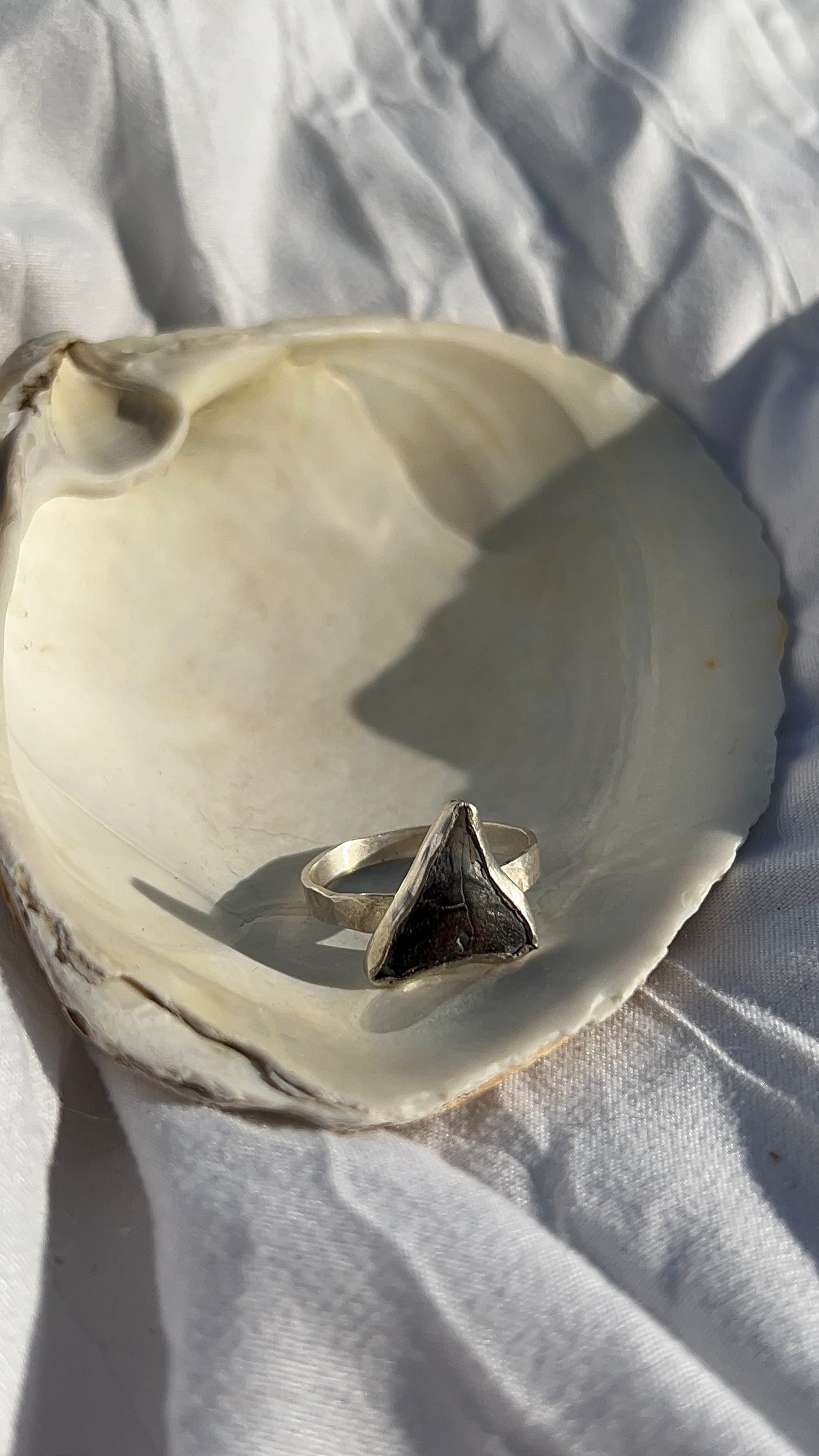 Shark Tooth Ring