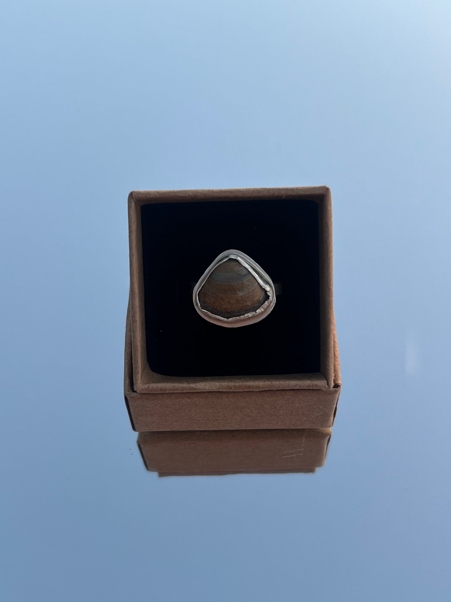 Clam Shell Ring