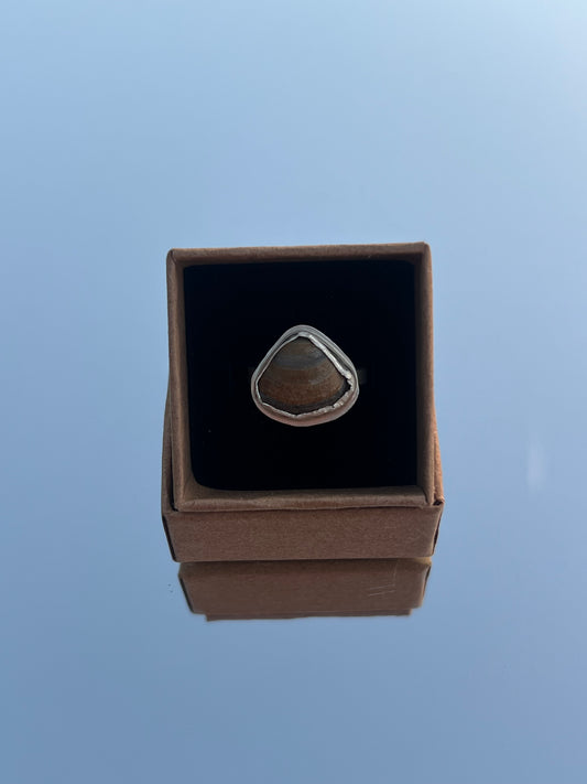 Clam Shell Ring