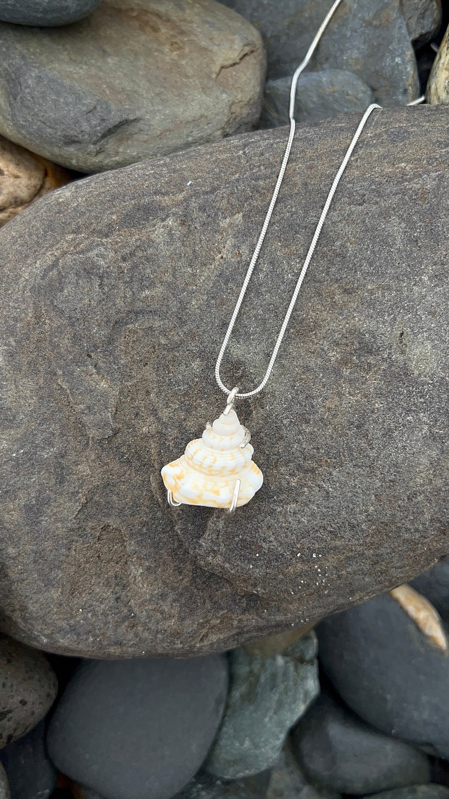 Shell Pendant