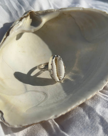 Cowrie Shell Ring and Cuff Set